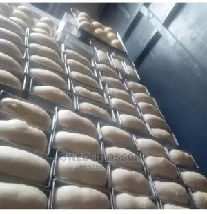 Commercial Bread Training Bakery Set Up