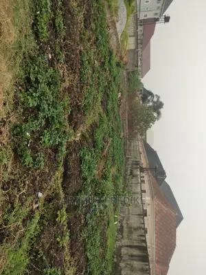 60/120 M Half Plot of Dry Land for Sale at Ago Bokno RD