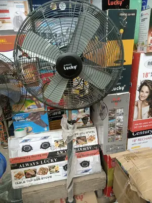 Industrial Standing Fan