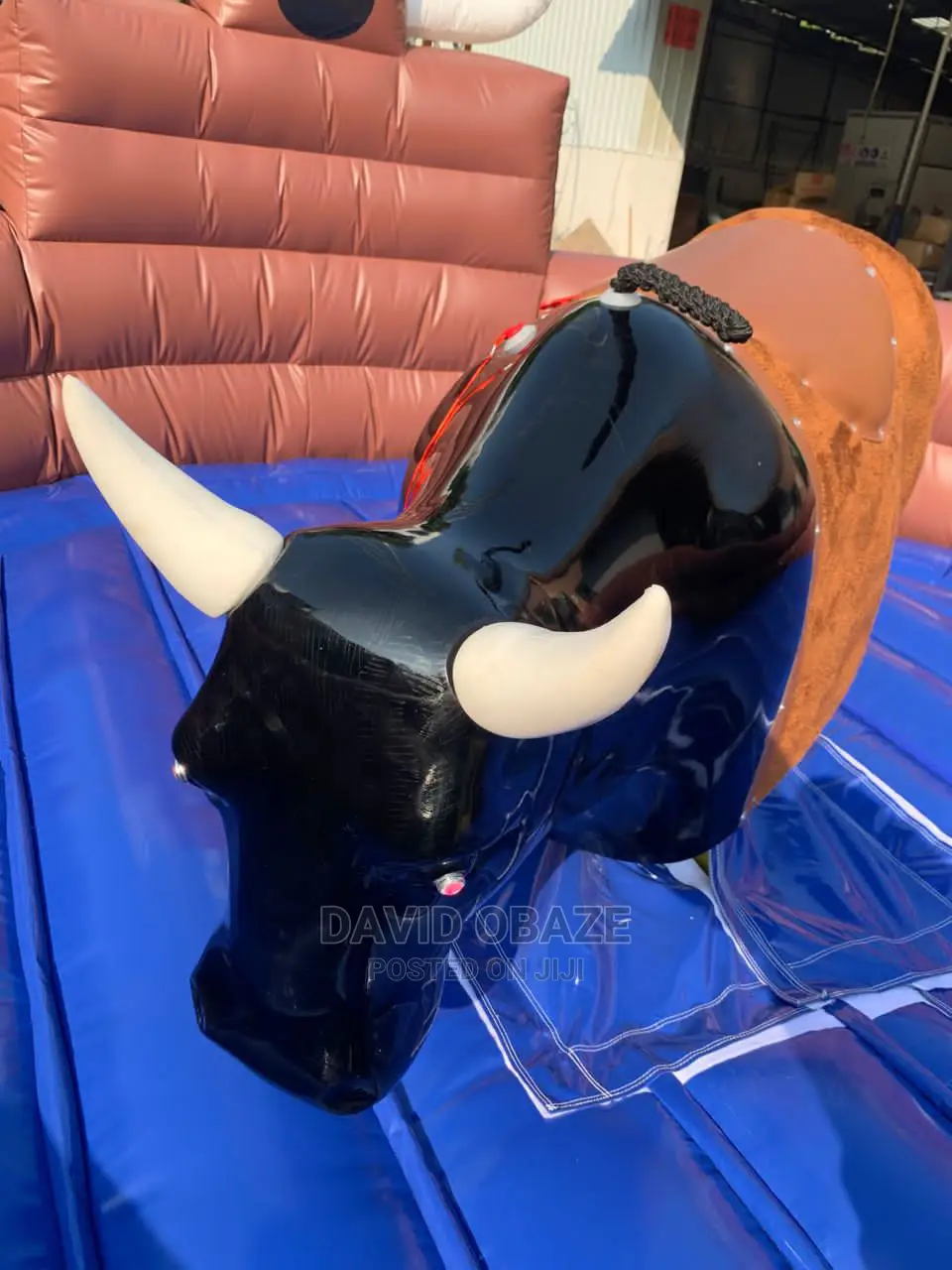 Bull Games