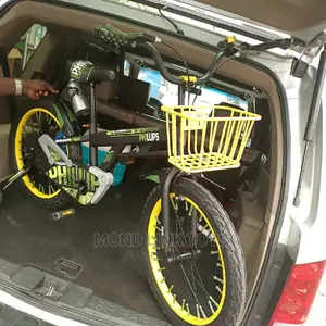 This Is Philips Bicycle for Kids