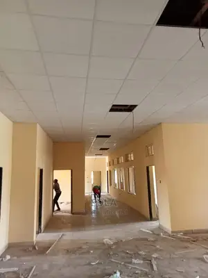 Suspended Ceilings Grids