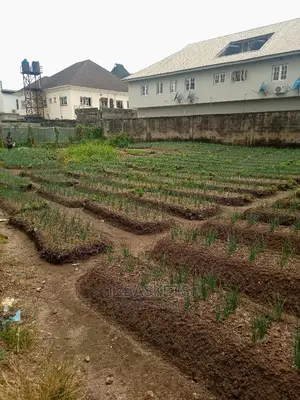 Joint Venture at Ikeja