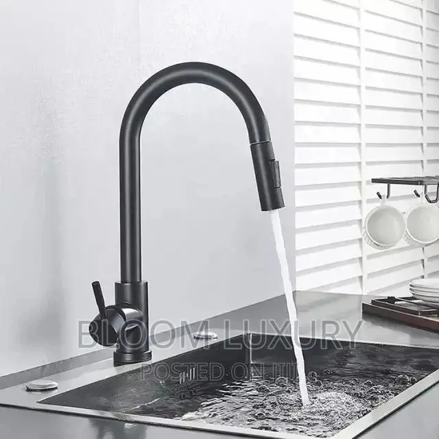 Black Kitchen Faucet (Pull Out)