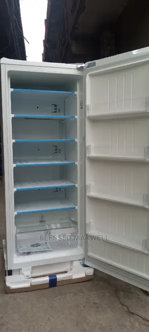 Lg Standing Freezer