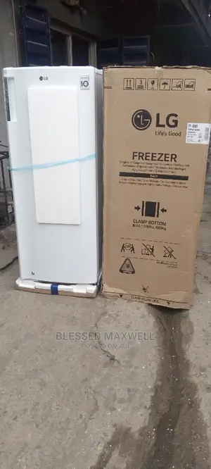 Lg Standing Freezer