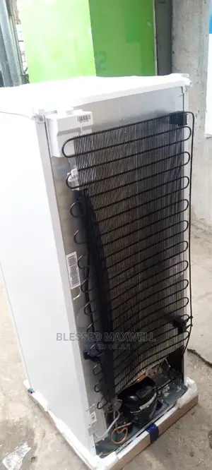 Lg Standing Freezer