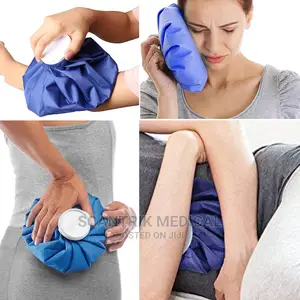 Reusable Ice Beg