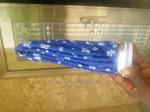 Reusable Ice Beg