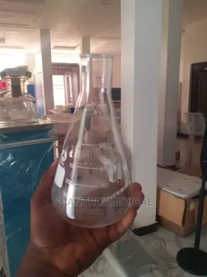 Professional Laboratory Beaker