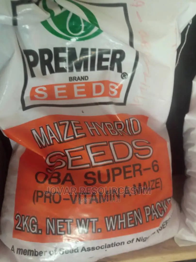 Best Improved Maize Seeds Higher Yield Breeds