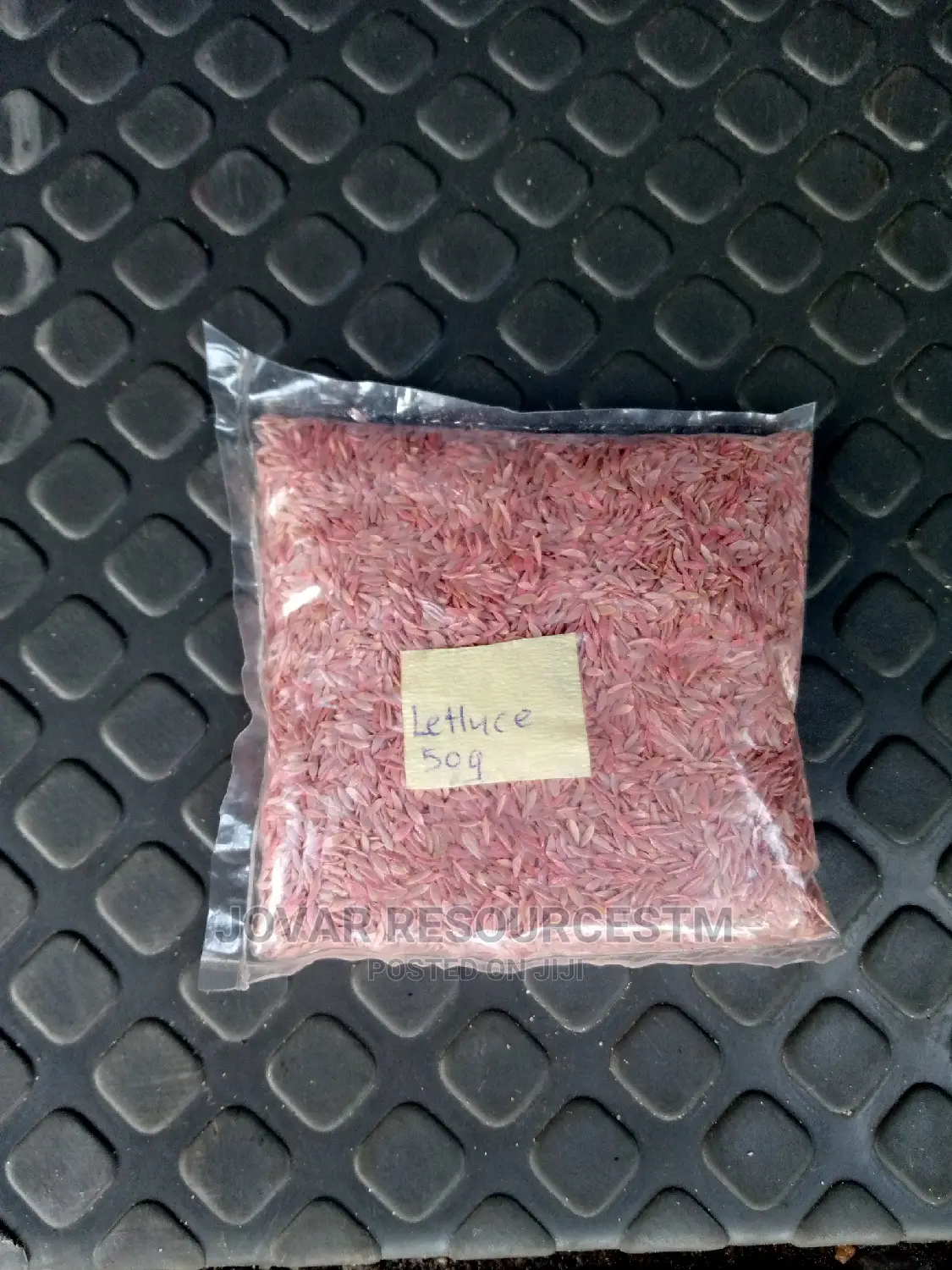 Best Improved Lettuce Seeds (Higher Yield)
