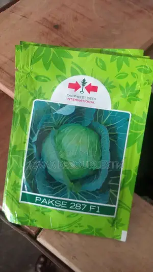 Best Cabbage Seeds of Higher Yield