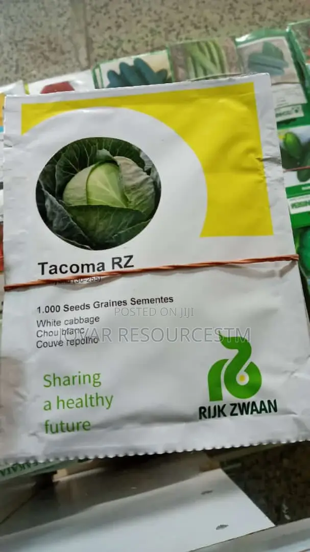 Best Cabbage Seeds of Higher Yield