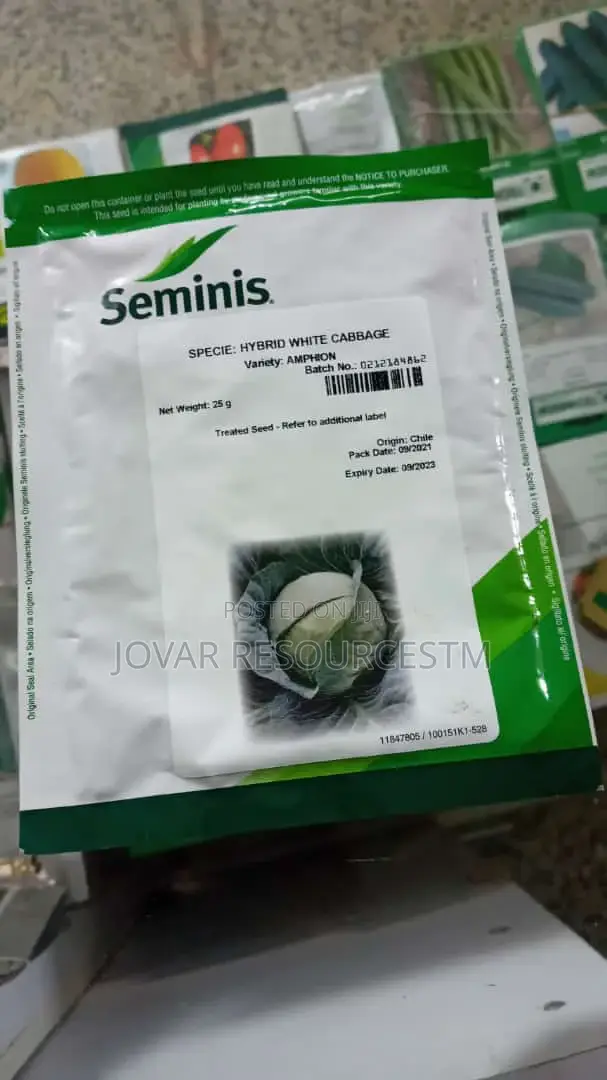 Best Cabbage Seeds of Higher Yield