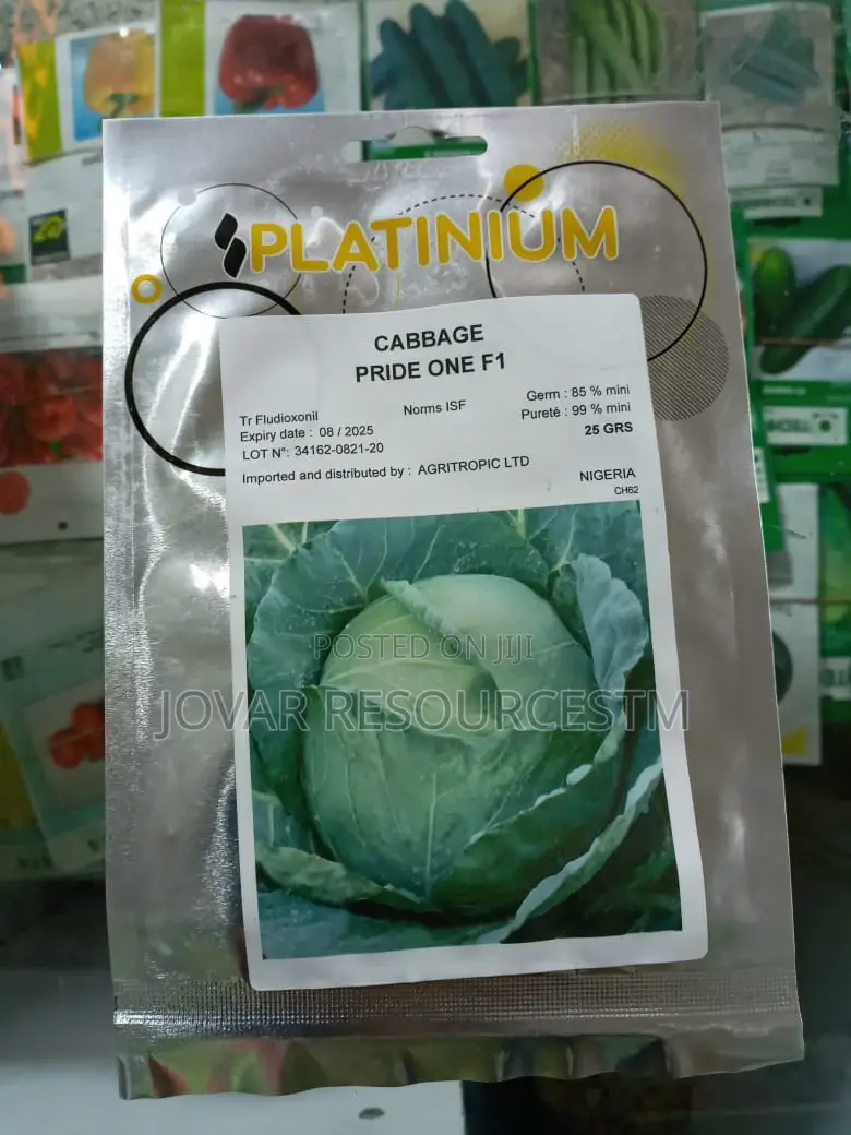 Best Cabbage Seeds of Higher Yield