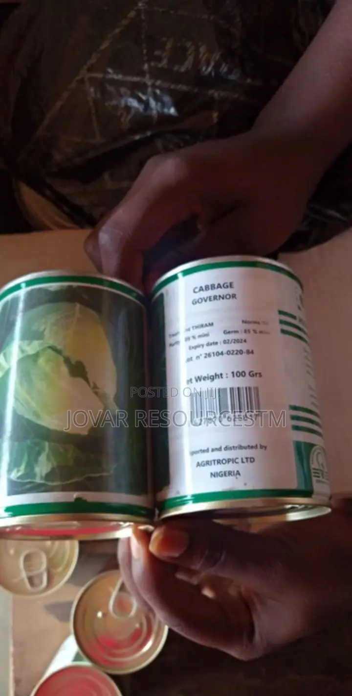 Best Cabbage Seeds of Higher Yield