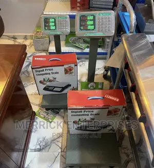 Standing Digital Weighing Scale 150kg