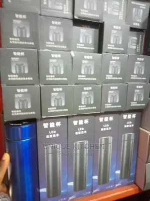Temperature/Led Vacuum Water Flask