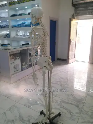 Hospital Skeletons Chart