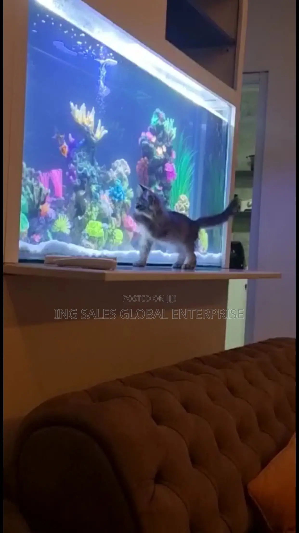 Massive Aquariums