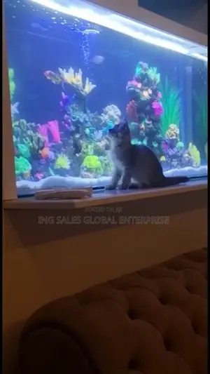 Massive Aquariums