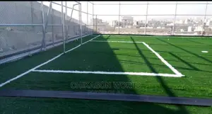 Football Grass