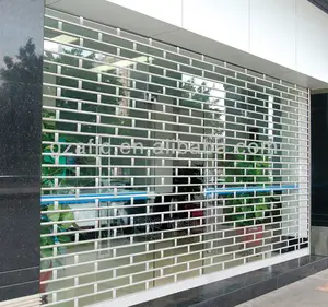 See Through Roller Shutter Door for Shops