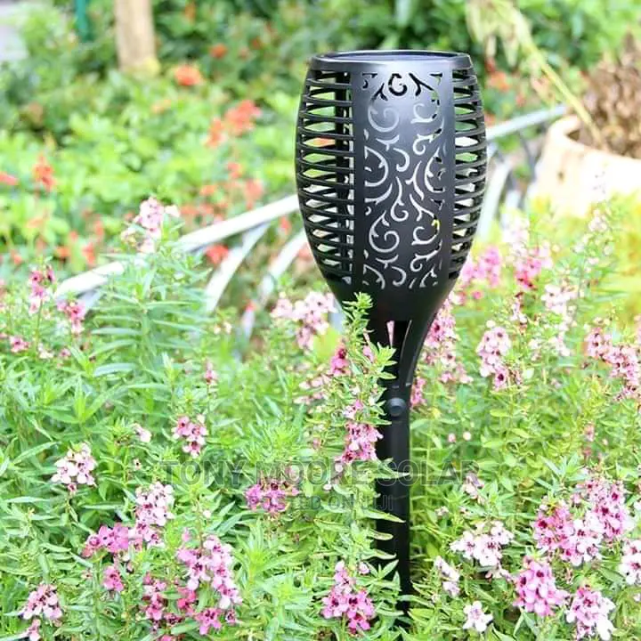 Solar Garden Lights