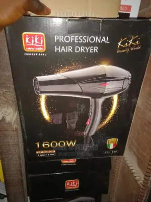 Professional Hair Dryer