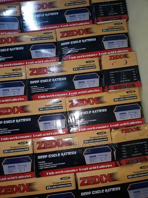 200a Zedix Battery