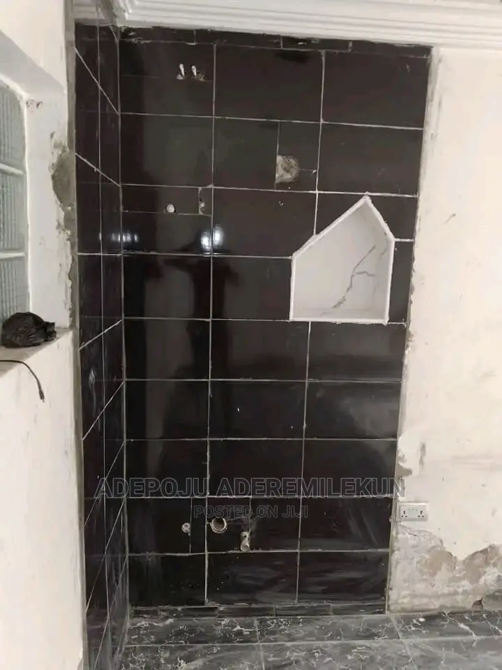 Tile Installation's Company