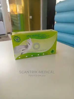 High Quality Disposable Examination Gloves (Powder Free)
