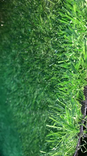 Best Synthetic Grass Carpets
