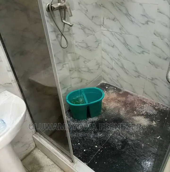 House Cleaning Services
