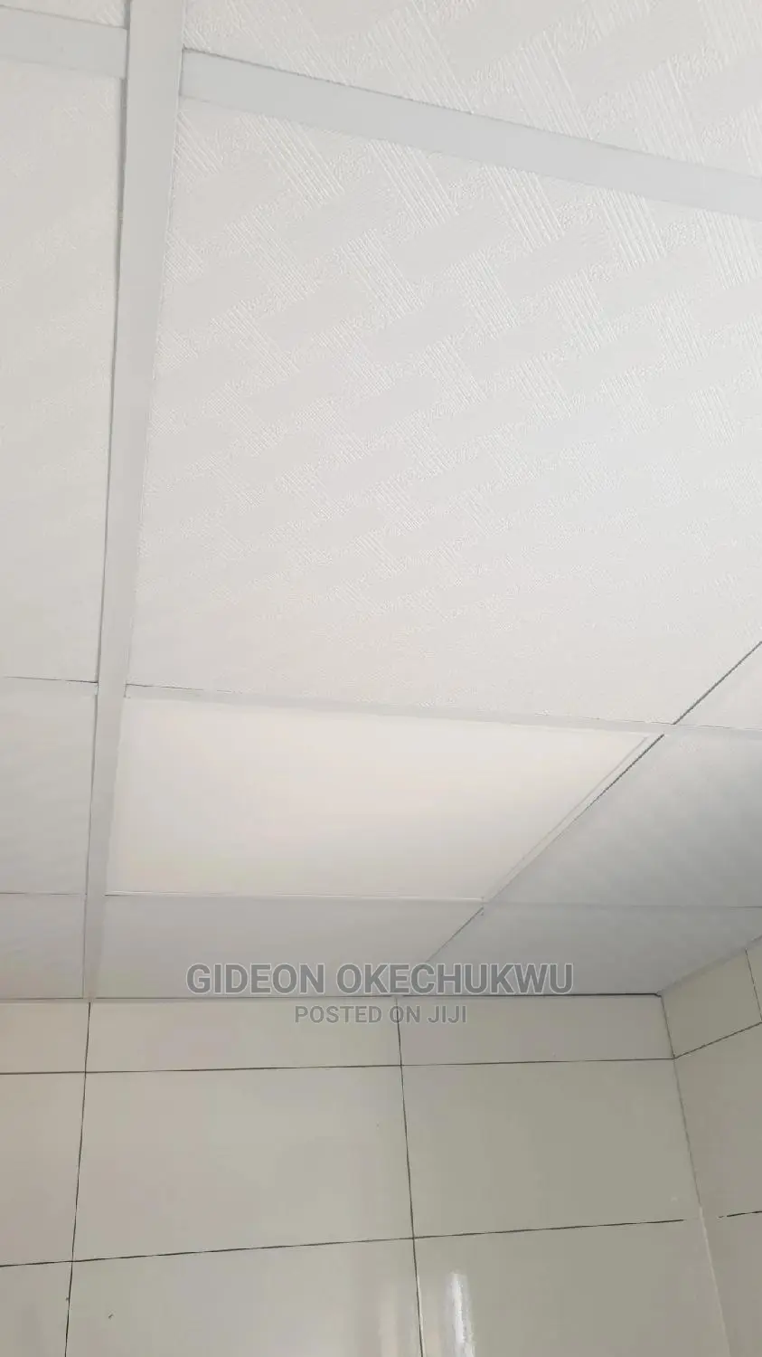 Suspended Ceiling and Gipson Board