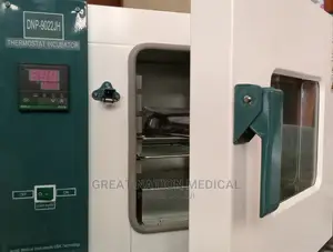 Thermostat Incubator