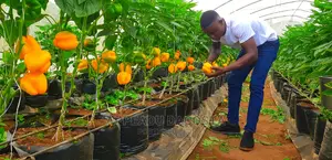 Agronomist