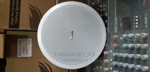 Original Lucky Tone Ceiling Speaker 10watt
