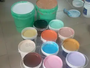 Professional House Painter