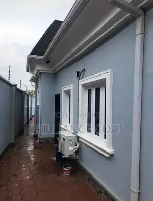 Professional House Painter