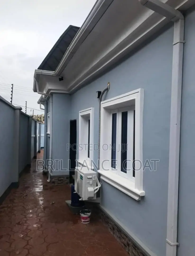 Professional House Painter