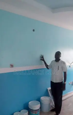 Professional House Painter