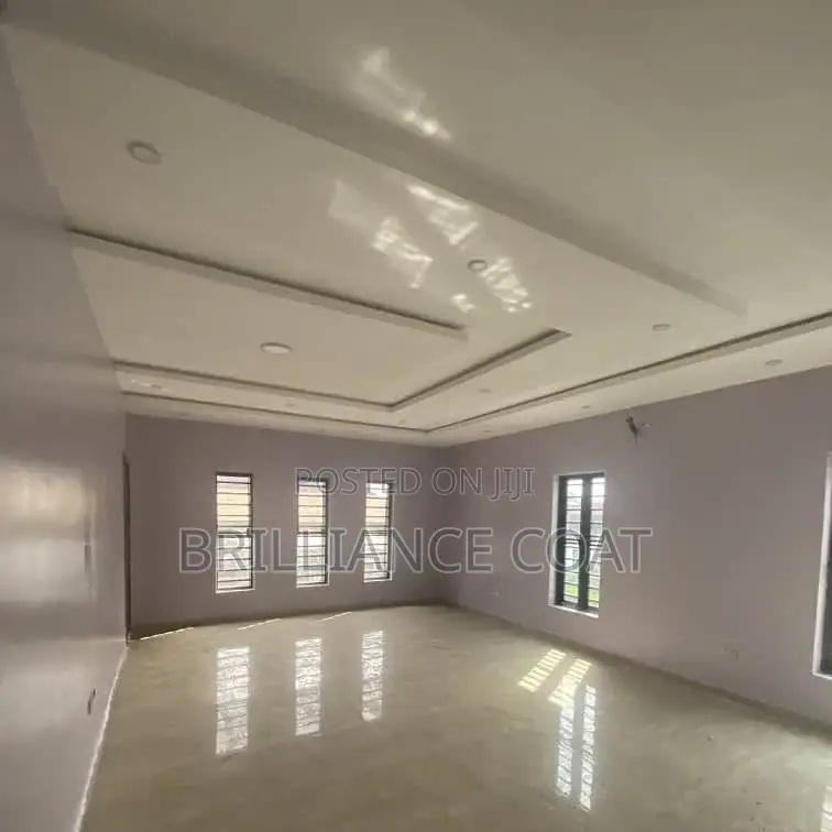 Professional House Painter