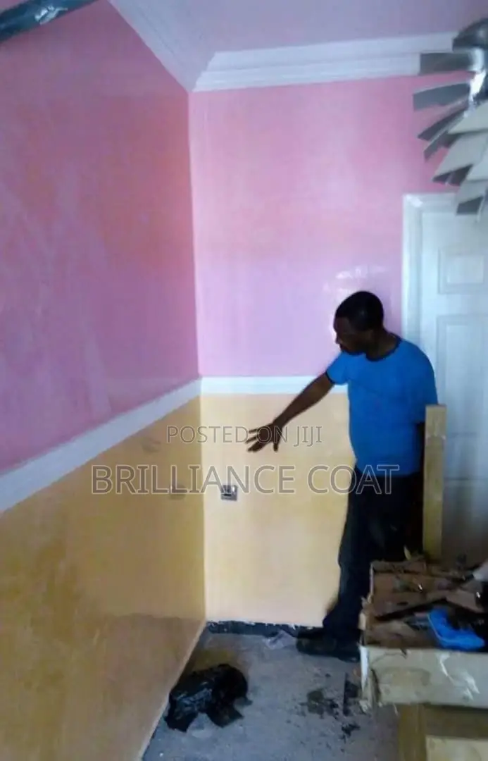 Professional House Painter