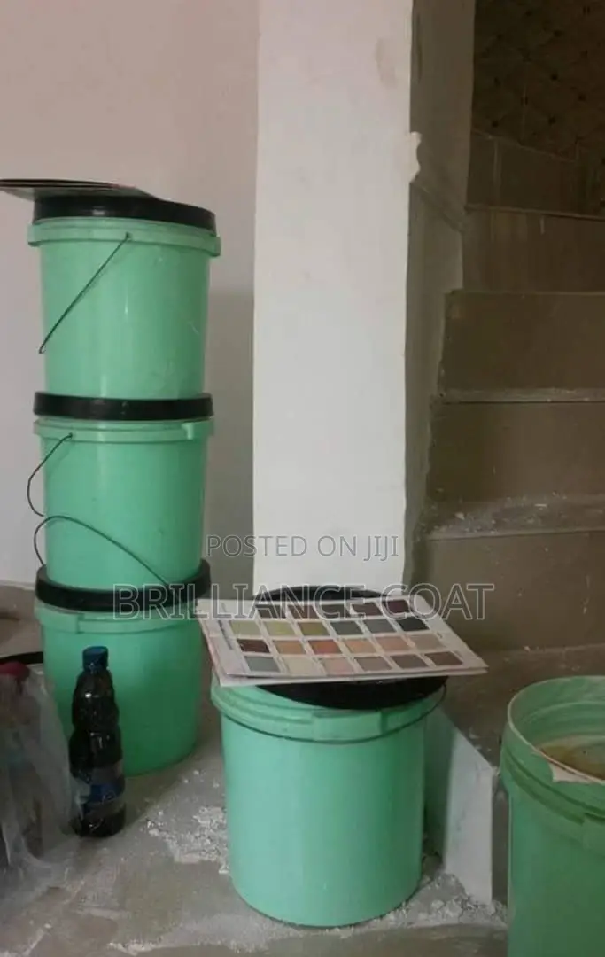 Professional House Painter