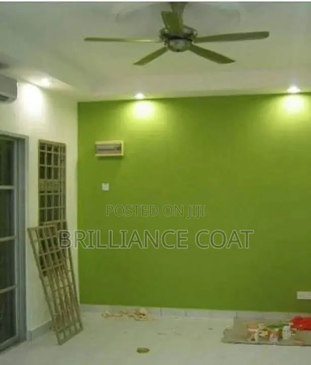 Professional House Painter