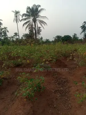 4 Plots of Land for Sale at Amansee