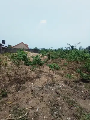 A Fulllly Dry, Fenced and Gated Land for Sale in Igbojia