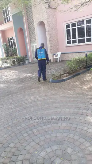 Profound Cleaning and Fumigation Services